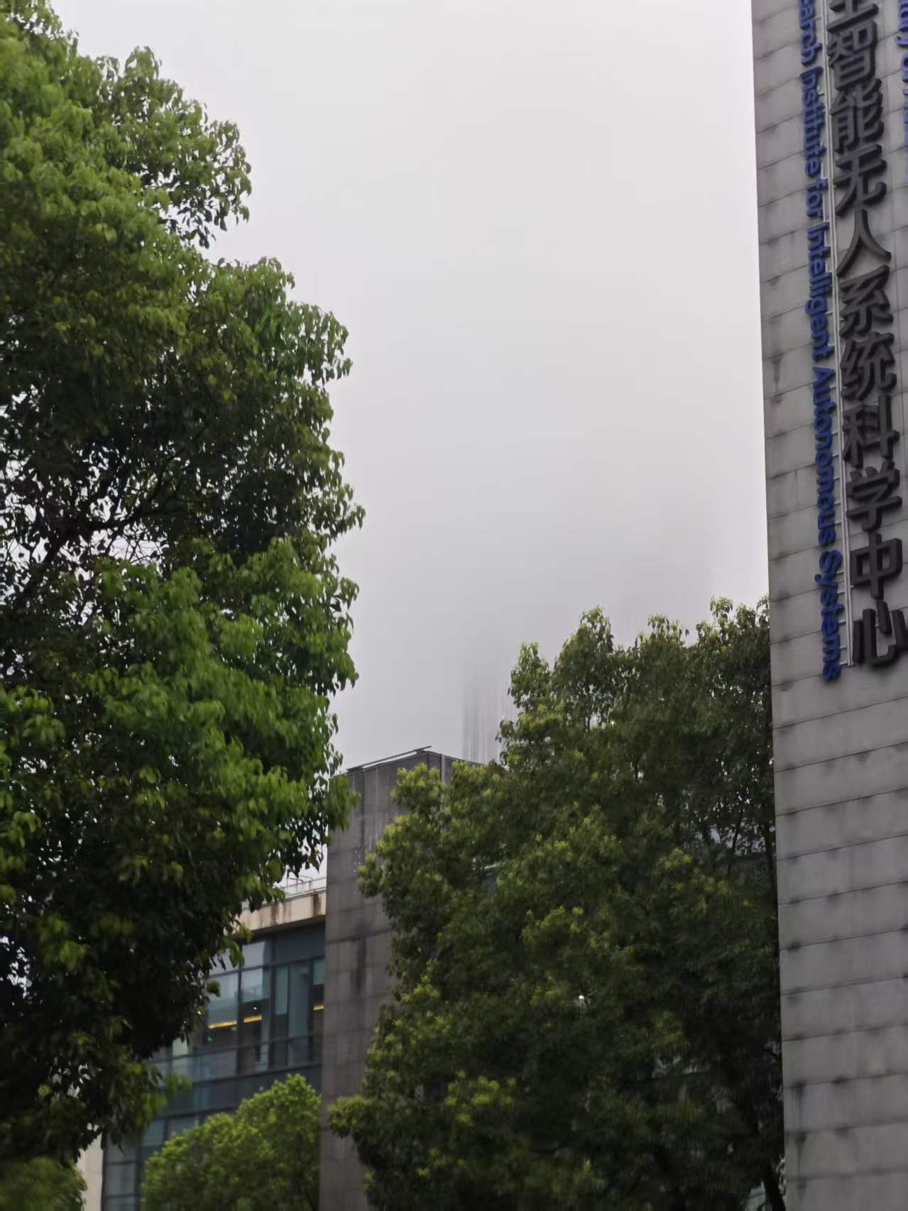 忧郁的上海