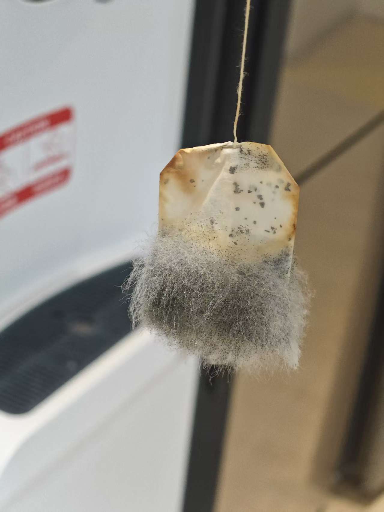 长江七号入侵地球,,好恶心