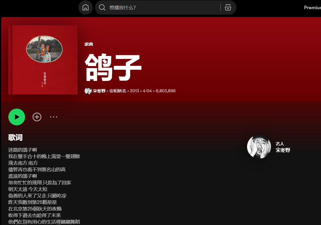 迷路的鸽子啊